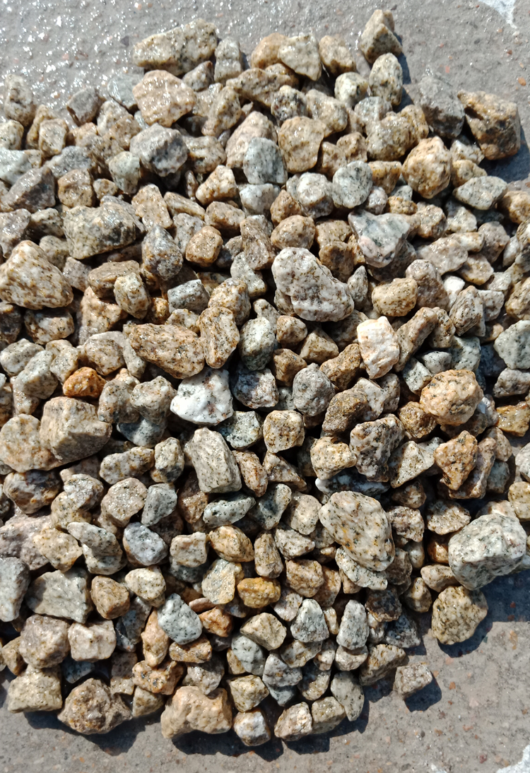 GS-020(Ciallo-Cecilia-Gravel)-၄