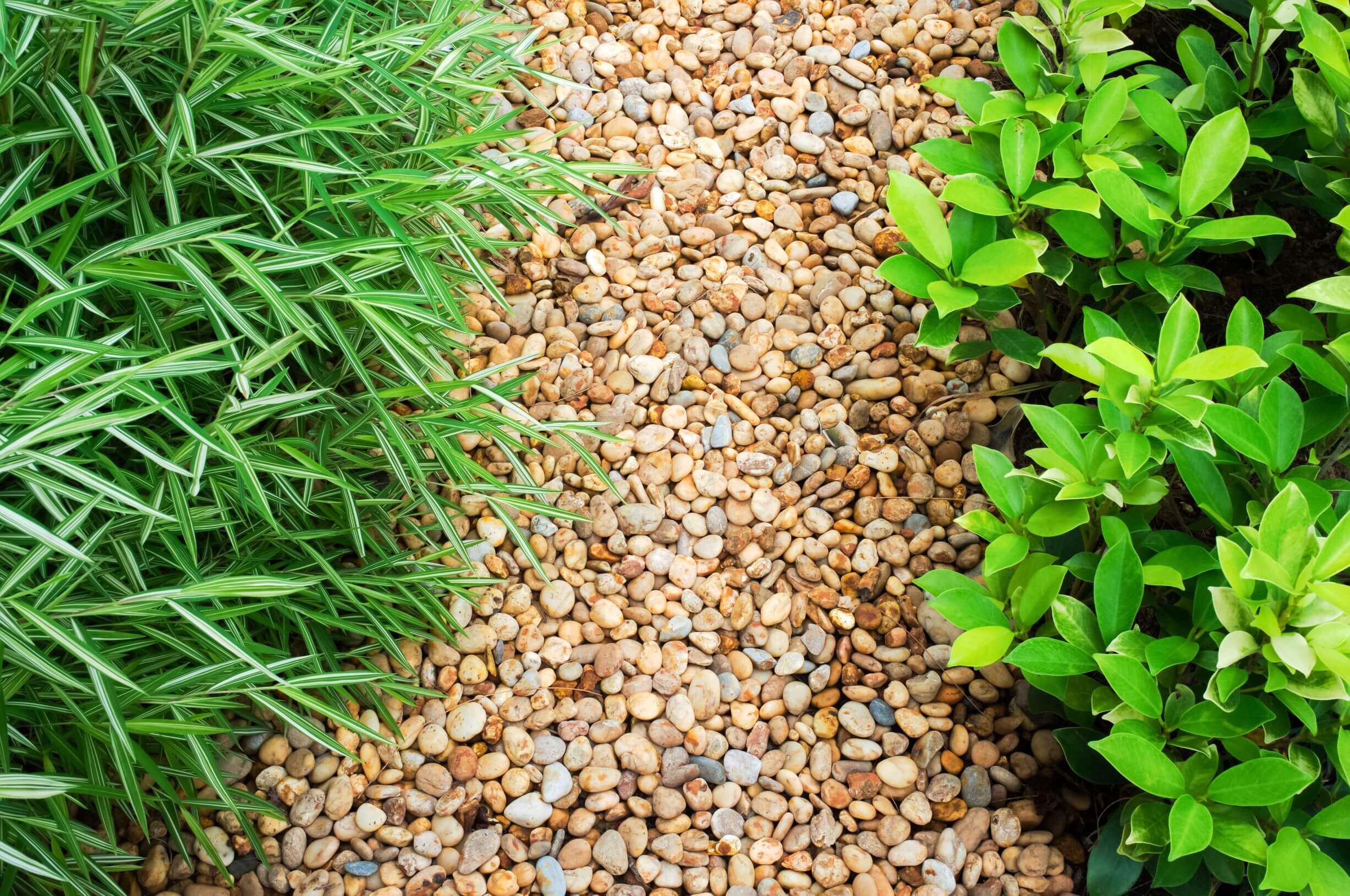How-to-clean-landscaping-stone-or-pebbles-tinyjpg